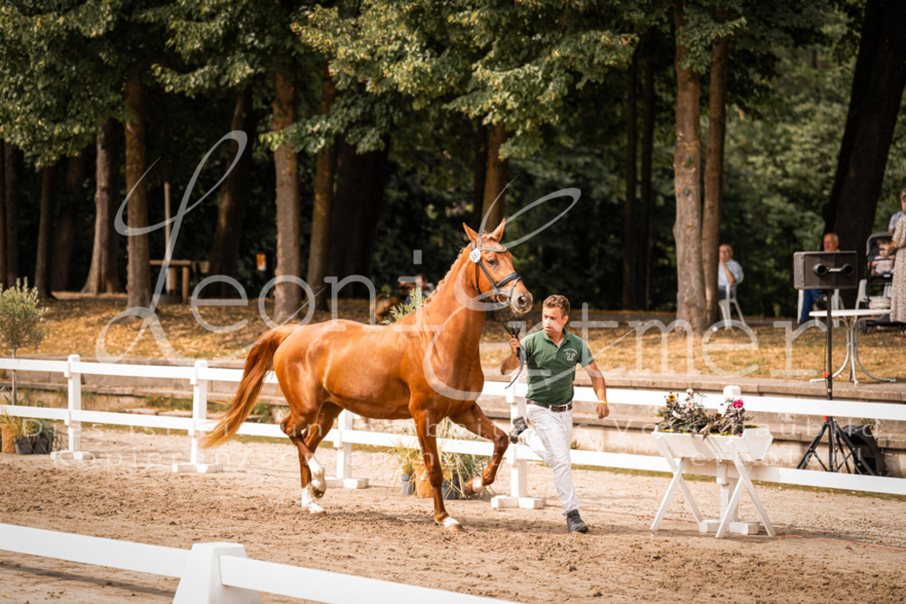 7.Fr00046 | Leoni Ertmer Photography - Realisiert mit Pictrs.com