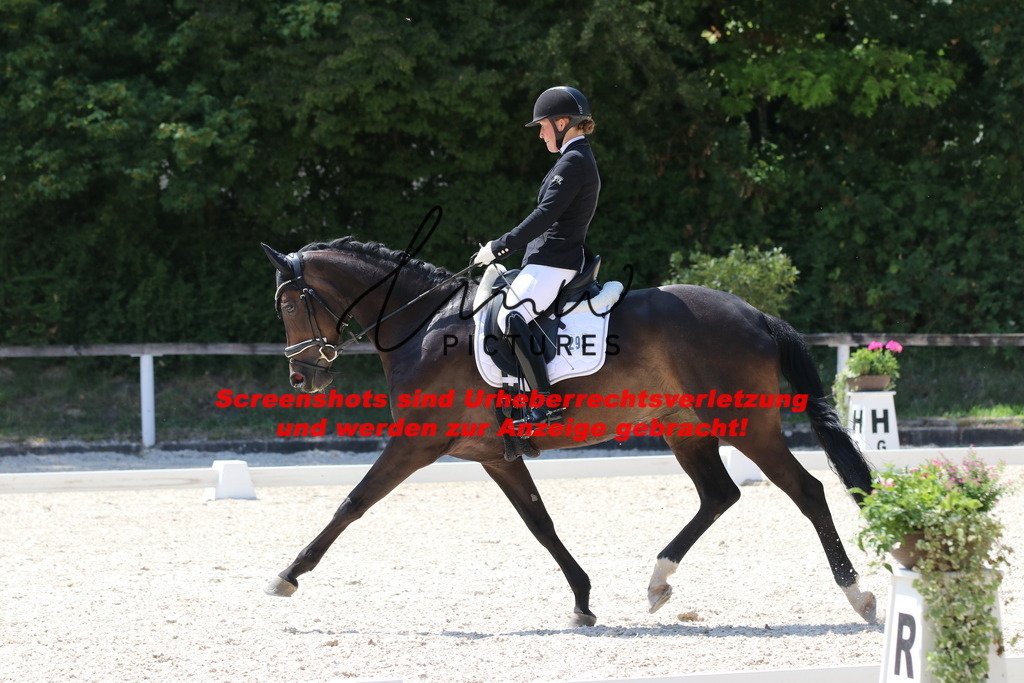 IMG_5082 | lmwpictures - Realisiert mit Pictrs.com