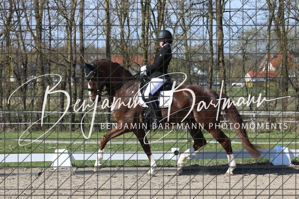 AZ2A6176 | Benjamin Bartmann Photomoments