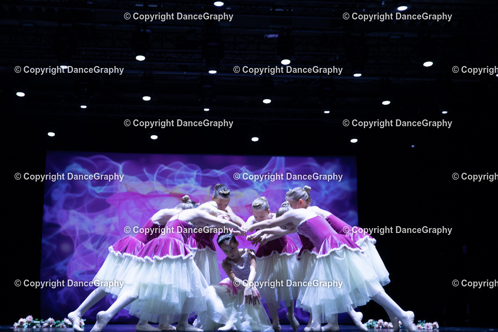 GPHY4805 | DanceGraphy - Realisiert mit Pictrs.com