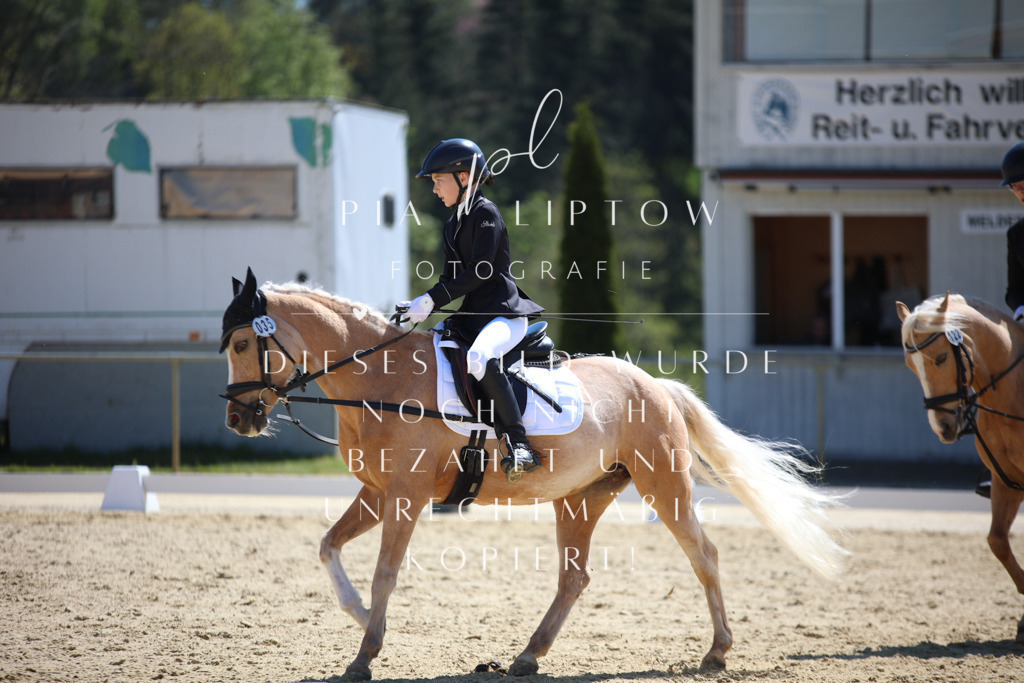 IMGT0658 | pl-fotografie