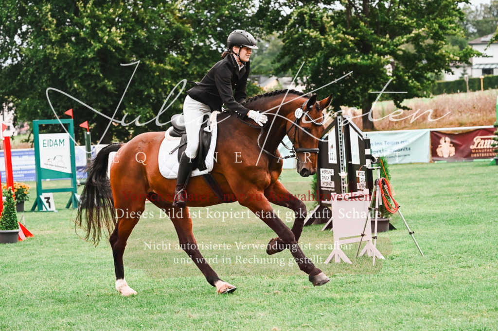 DSC_5980 | Pferde- und Turnierfotografie in Westsachsen. Pferdeportraits, Auftragszeichnungen und intuitive Kunst.