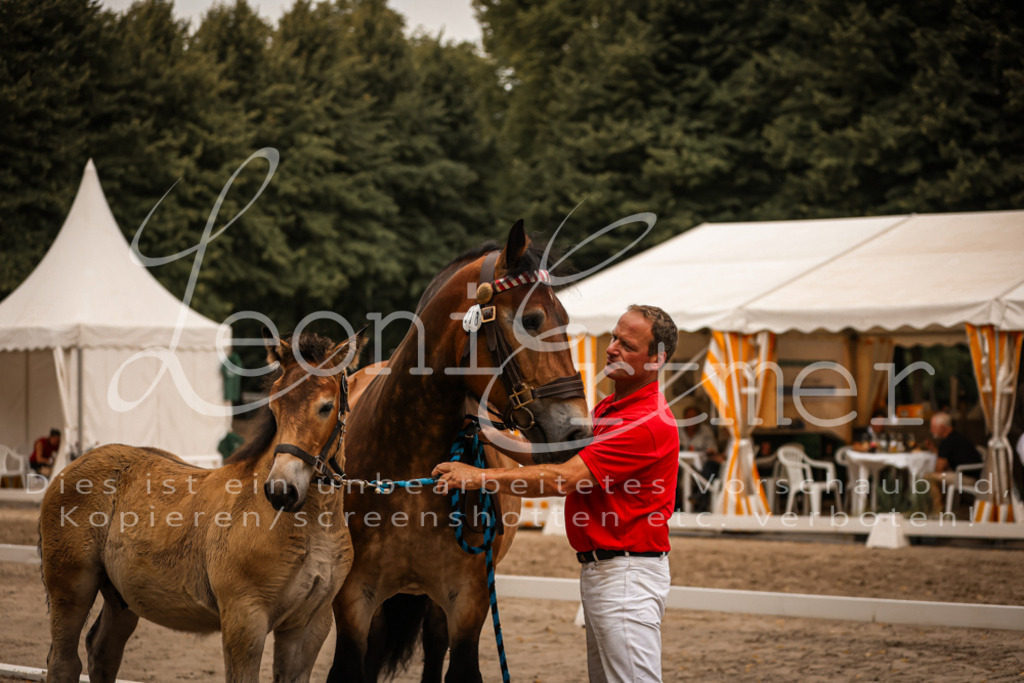 SaHF00132 | Leoni Ertmer Photography - Realisiert mit Pictrs.com