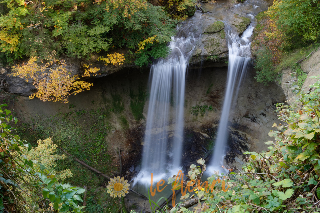 DSC_0269-NEF_DxO_PRIME | Dies ist der Shop von Florian Blum - le fleuri. Langenthal, Bern, Schweiz. Sie können hier meine oder ihre eigenen Fotos als Fotoprodukte kaufen. Tassen, Schlüsselanhänger, Taschen etc. können Sie hier gestalten.  - Realisiert mit Pictrs.com