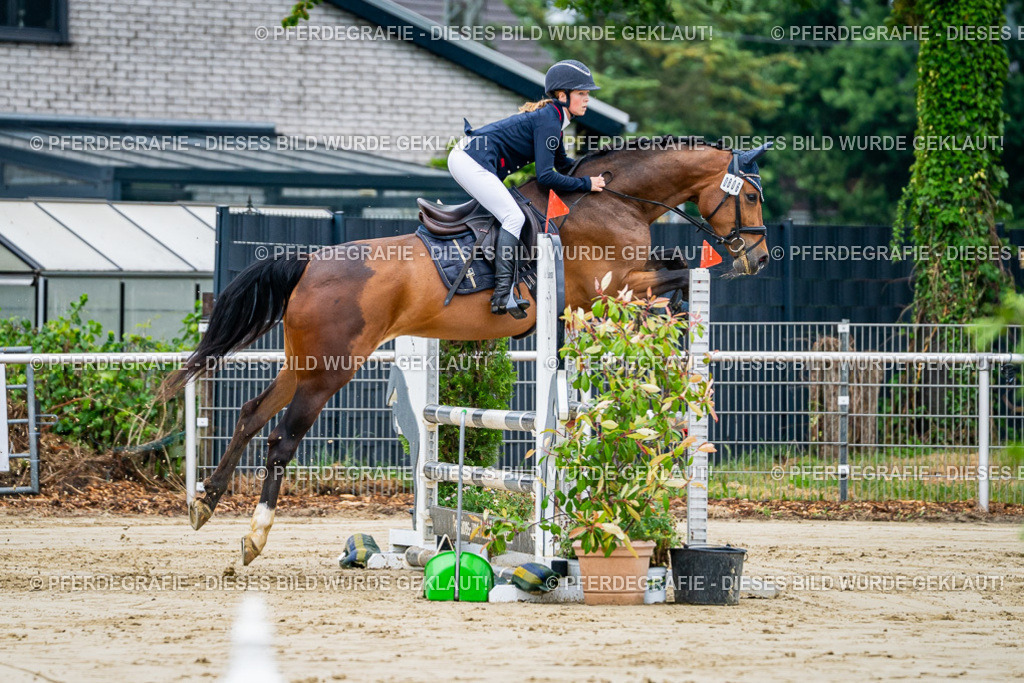 DSC02635 | Pferdegrafie