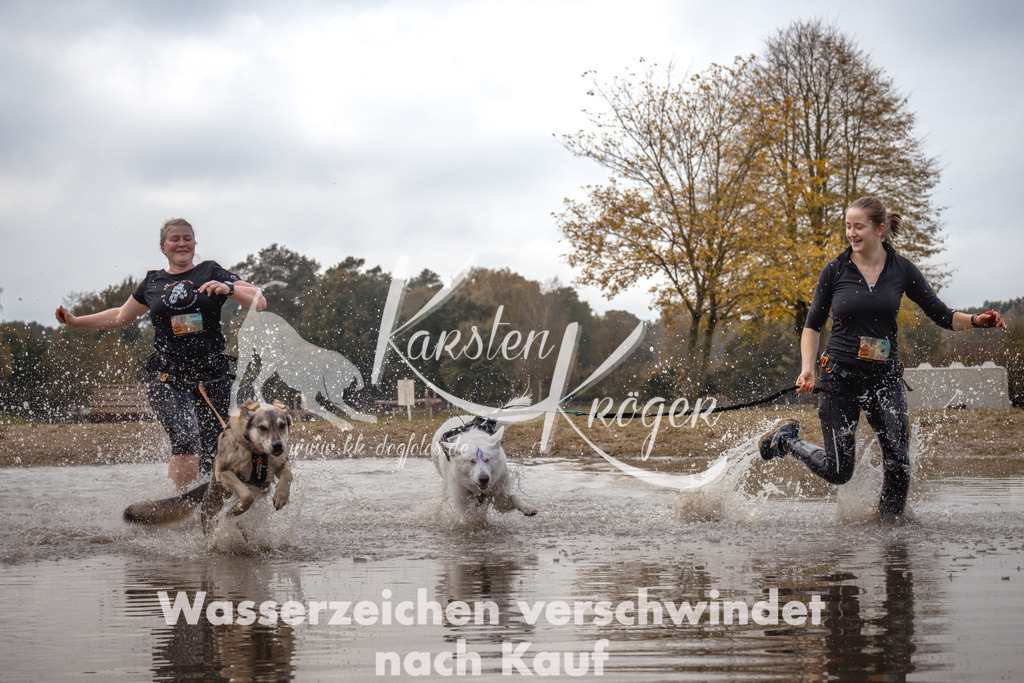 1340_ZZ94537 | kk-dogfotos