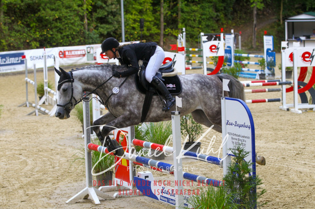 DKP40469 | Turniersportfotografie; Pferdefotografie; Dressurfotografie