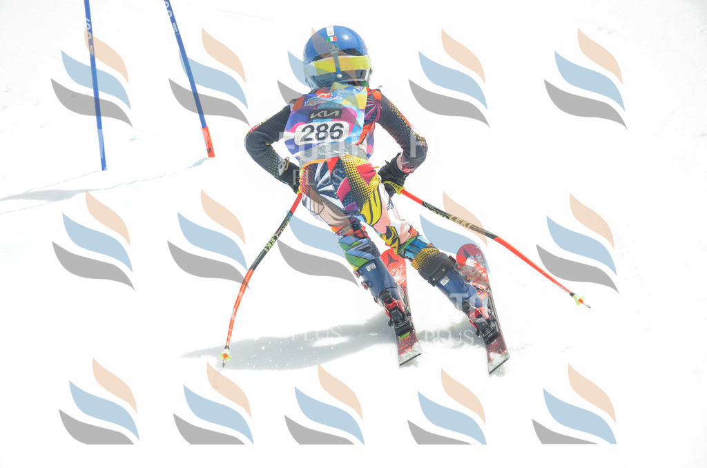 _ELE8033 | holidayphoto