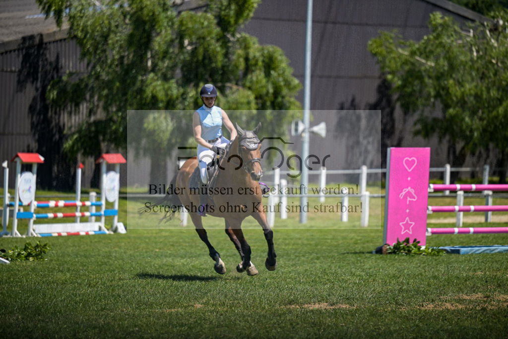 Reitturnier Voxtrup | Entdecke hochwertige Reitturnierfotos von Foto Oger. Professionell, emotional und authentisch – jetzt Lieblingsmomente im Shop bestellen. - Realisiert mit Pictrs.com