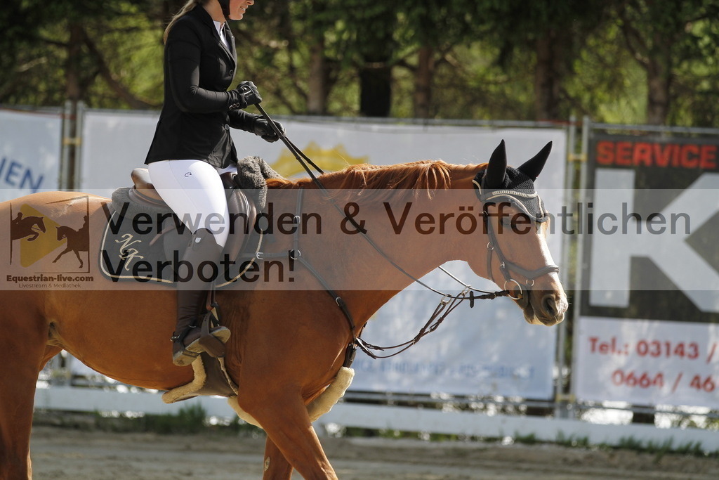 _MG_8779 | equestrian-live-com