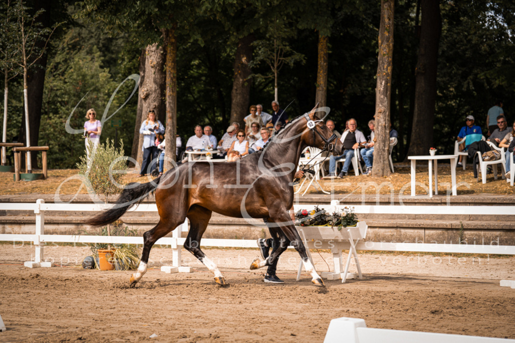 6.Fr00004 | Leoni Ertmer Photography - Realisiert mit Pictrs.com