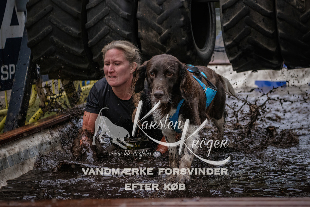 1706_ZZ94933 | kk-dogfotos