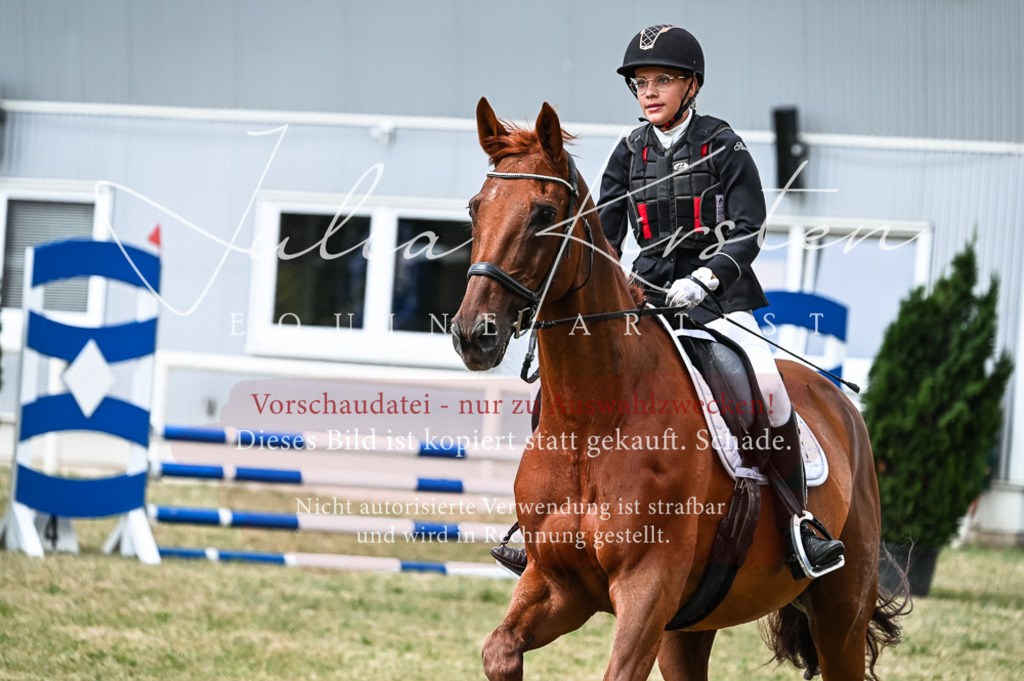 DSC_9004 | Pferde- und Turnierfotografie in Westsachsen. Pferdeportraits, Auftragszeichnungen und intuitive Kunst.