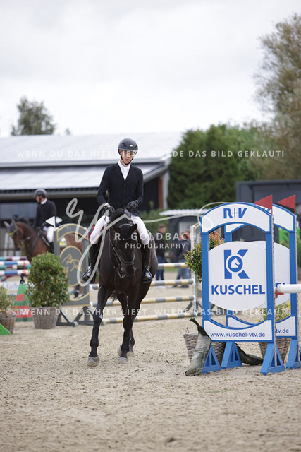 1J2A2109Hannes Ahlmann_ Pharrell van Seldsum_ Kn846_ Havekost | Foto- und Videografie für alles rund ums Pferd. Hochwertige Bilder und Videos vom Spring- und Dressurreiten, Voltigieren & mehr. Jetzt aktuelle Veranstaltungen und Preise im Shop ansehen. - Realisiert mit Pictrs.com
