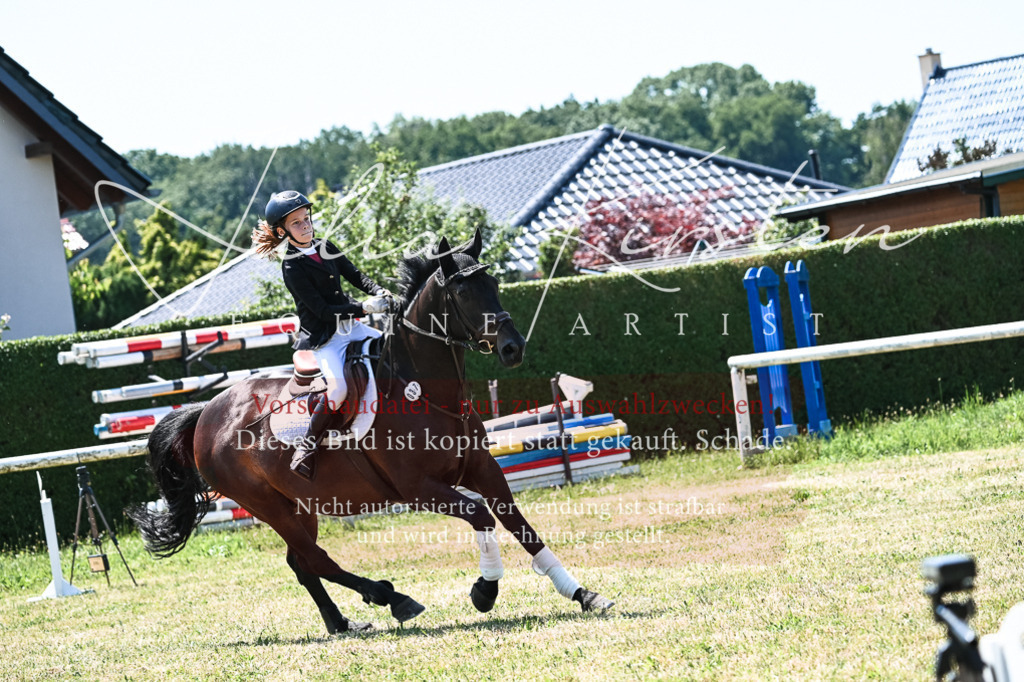DSC_0353 | Pferde- und Turnierfotografie in Westsachsen. Pferdeportraits, Auftragszeichnungen und intuitive Kunst.