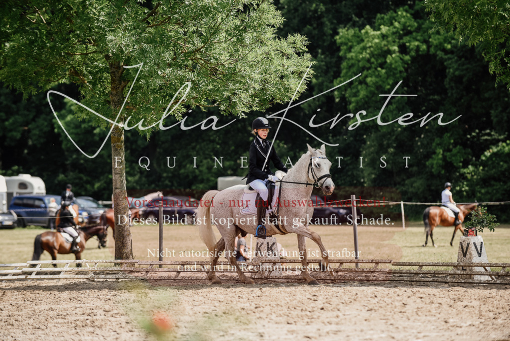 DSC_0556 | Pferde- und Turnierfotografie in Westsachsen. Pferdeportraits, Auftragszeichnungen und intuitive Kunst.