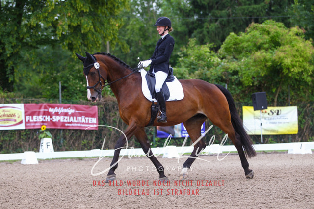 DKP41714 | Turniersportfotografie; Pferdefotografie; Dressurfotografie