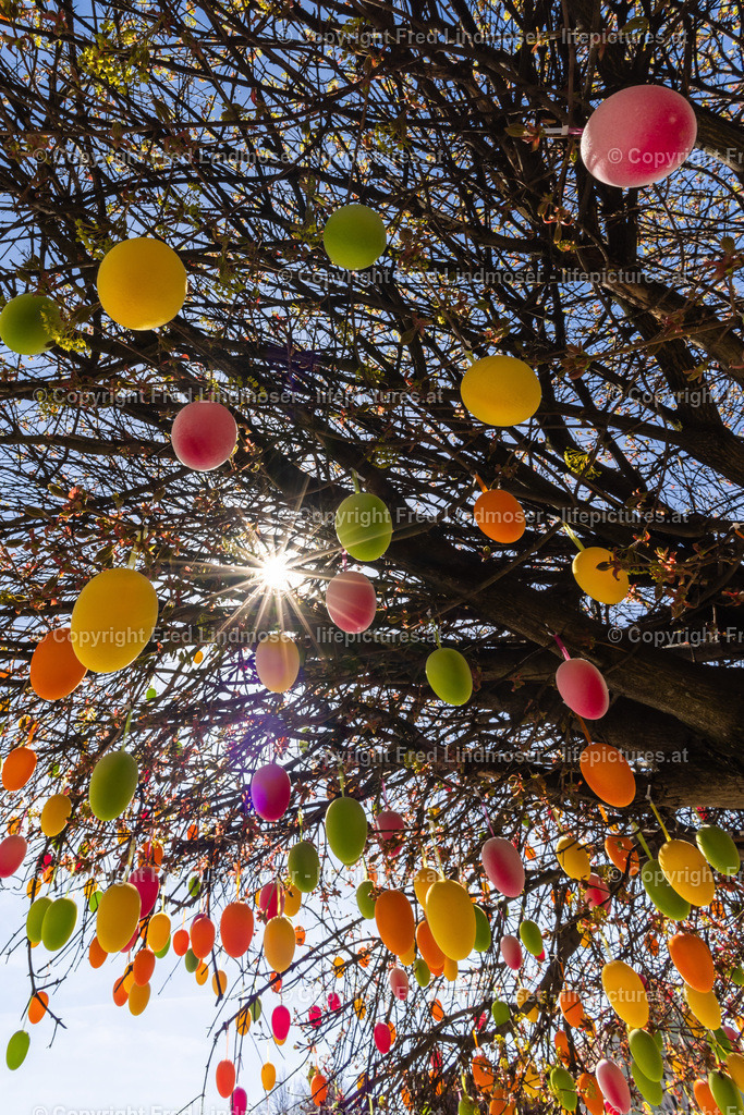 Frohnleiten Ostern Osterdeko 2022-5940 | Fotos und Fotoprodukte - Realisiert mit Pictrs.com