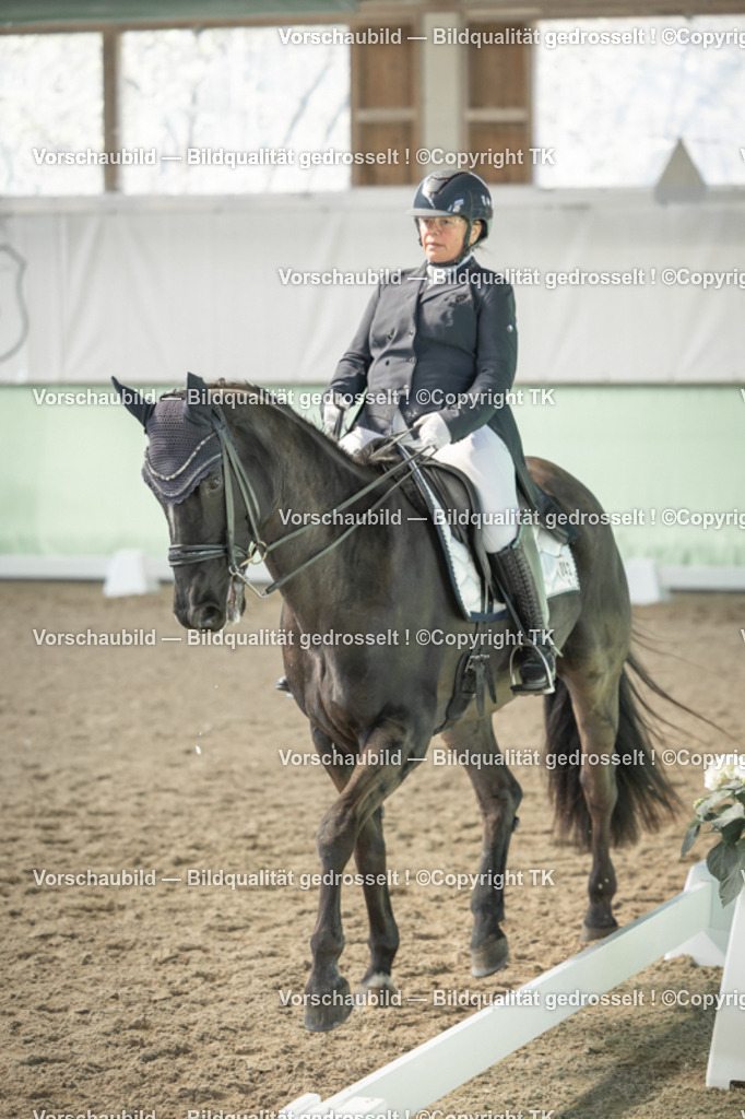 _D5A2016 | Emotionale Pferde- & People-Fotografie rund um Heidelberg, Leimen & Umgebung. Natürliche Fotos von Pferd, Mensch & Familie. Jetzt Termin sichern!