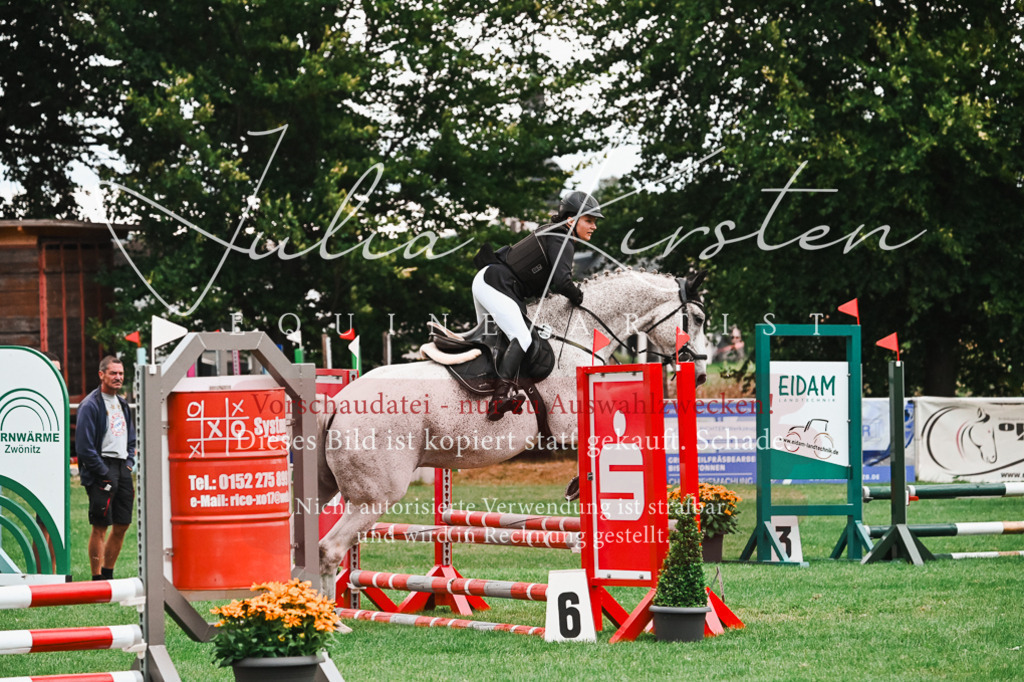 DSC_6065 | Pferde- und Turnierfotografie in Westsachsen. Pferdeportraits, Auftragszeichnungen und intuitive Kunst.