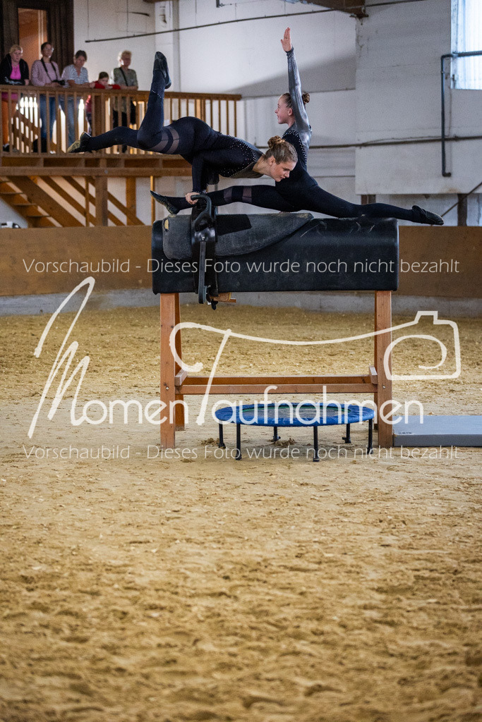 Holzpferd-027 | MomenTaufnahmen Pferdesportfotos