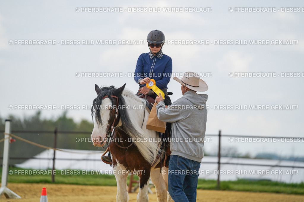 DSC06357 | Pferdegrafie