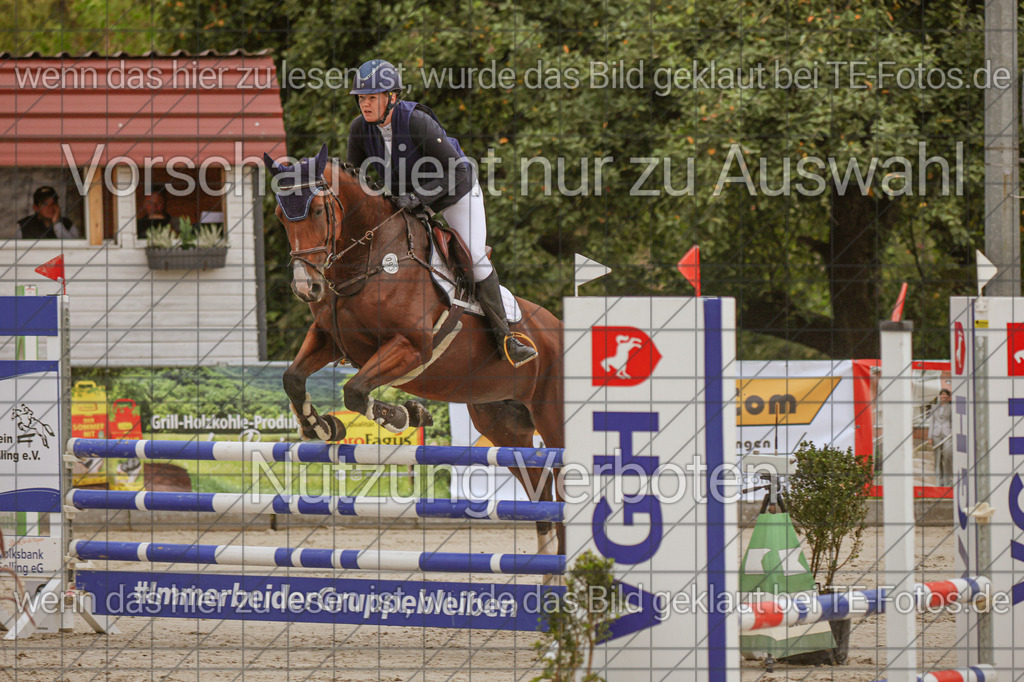 2025-09-22_09-44-33_MG_4487 | TE-Fotos