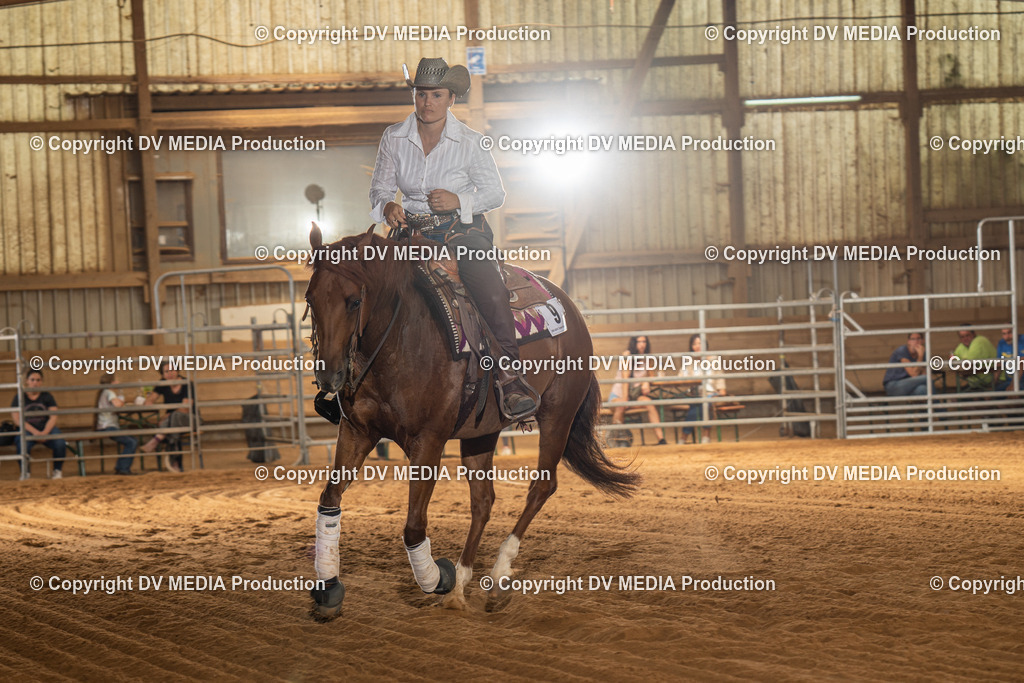 NID01949 | dv-media-shop - Realisiert mit Pictrs.com