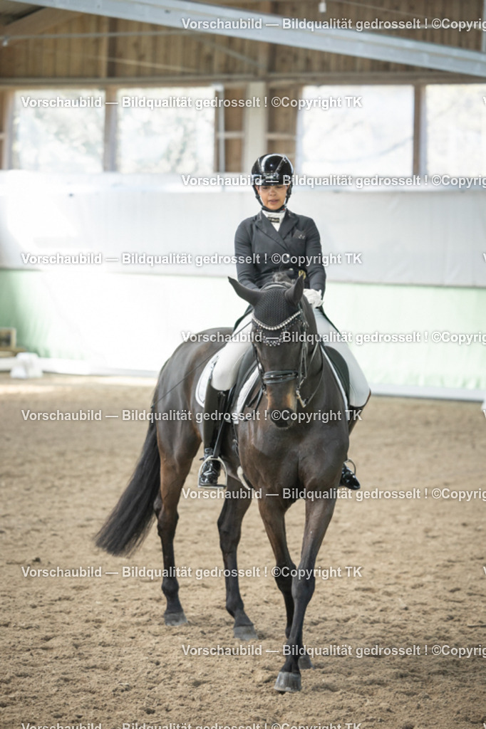 _D5A4761 | Emotionale Pferde- & People-Fotografie rund um Heidelberg, Leimen & Umgebung. Natürliche Fotos von Pferd, Mensch & Familie. Jetzt Termin sichern!