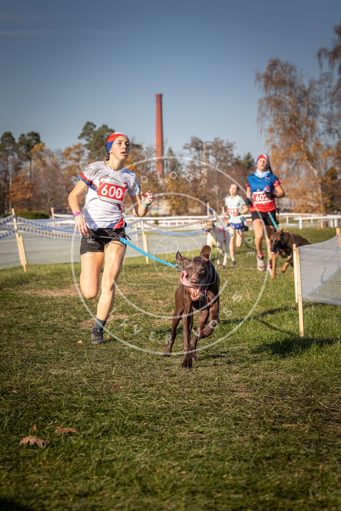 CaniXpix_0L8A8503 | Hundefotografie, Tierfotograf, Pfotenfotografie, Fotoshooting Hund, Hunde Portrait, Hundesport, Hundeportraits, Heideshooting, Hunde, Sportfotograf, Hundefotograf, Turnierhundsport, THS,  - Realisiert mit Pictrs.com