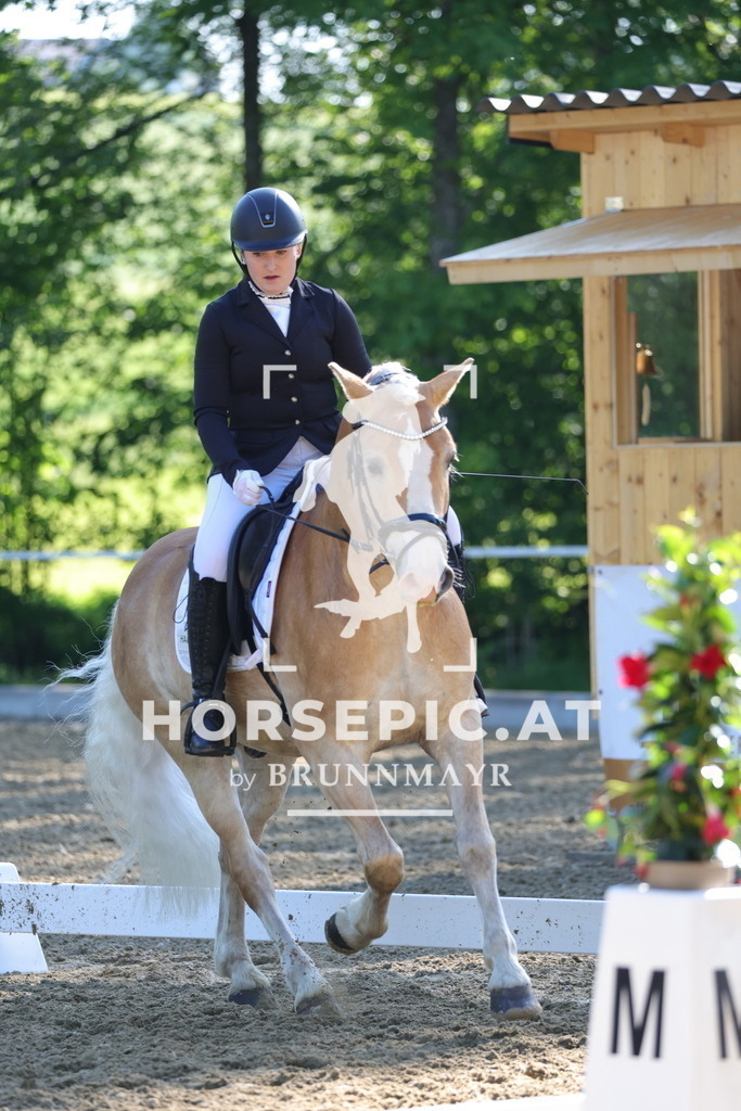 0P6A9365 | Willkommen bei Brunnmayr - Design & Fotografie – Ihrem Spezialisten für Reitturniere und Pferdeveranstaltungen in Oberösterreich, Salzburg und Bayern! Seit über 17 Jahren sind wir leidenschaftlich dabei.