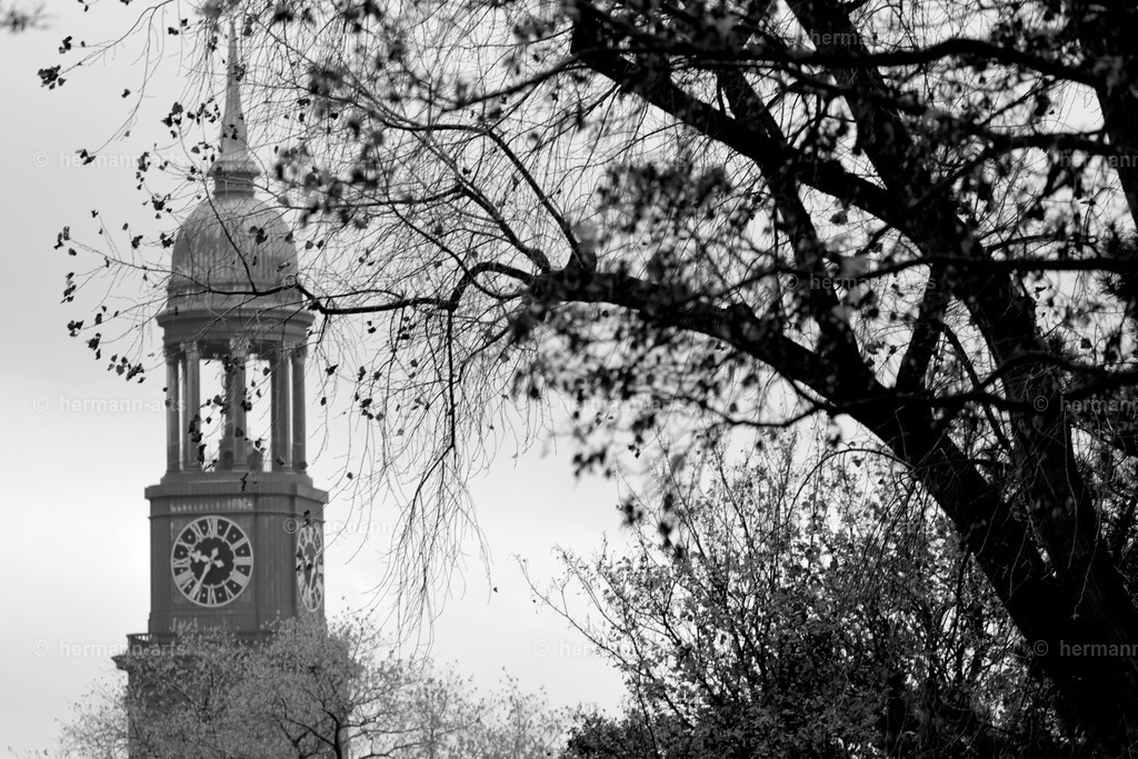 Hamurg_Arts-019 | Photo Foto Kunst Art schwarzweiss Bilder Rheine Münster Berlin Blumen 