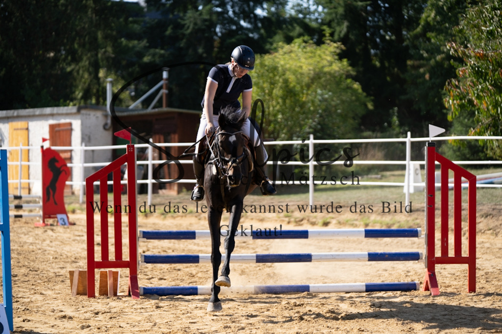 A7V02522 | Pferdefotograf