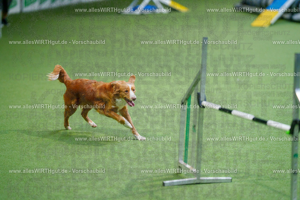 @allesWIRTHgut_Tierfotografie - www.allesWIRTHgut.de - 2604250825-7R506511 | Professionelle Tierfotografie in Mönchengladbach von Daniel Wirth (allesWIRTHgut). Liebevolle & natürliche Bilder von Hunden & Katzen für unvergessliche Erinnerungen.