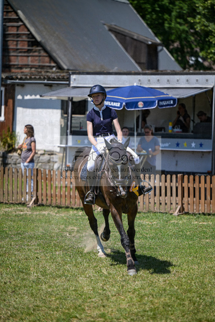 Reitturnier Voxtrup | Entdecke hochwertige Reitturnierfotos von Foto Oger. Professionell, emotional und authentisch – jetzt Lieblingsmomente im Shop bestellen.Deutschlandweite Turnierfotografie. - Realisiert mit Pictrs.com