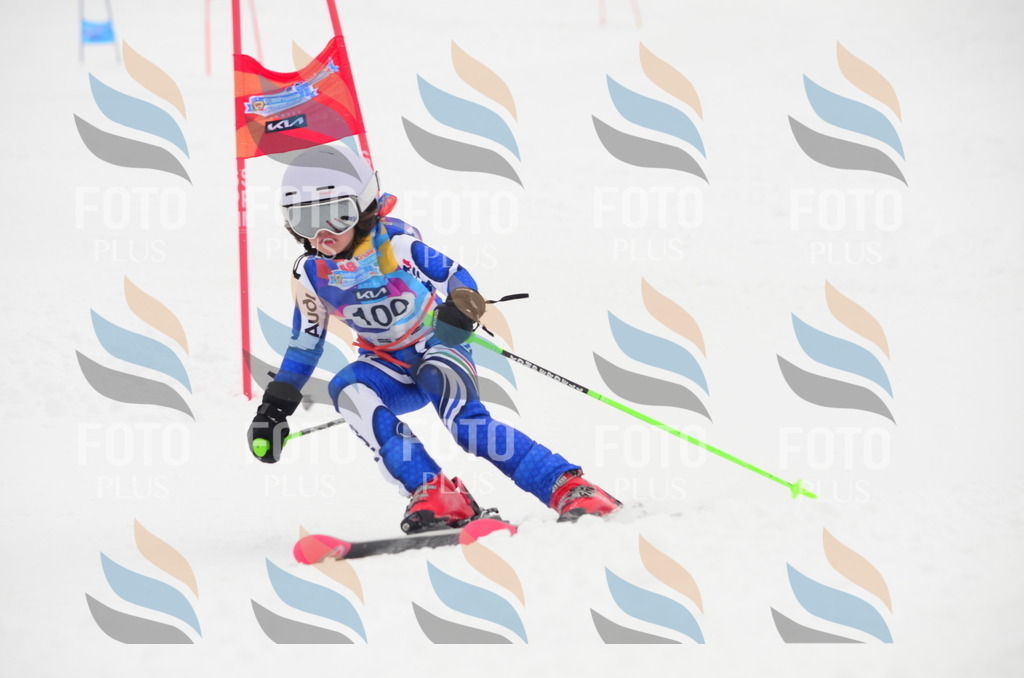 C1383 | holidayphoto