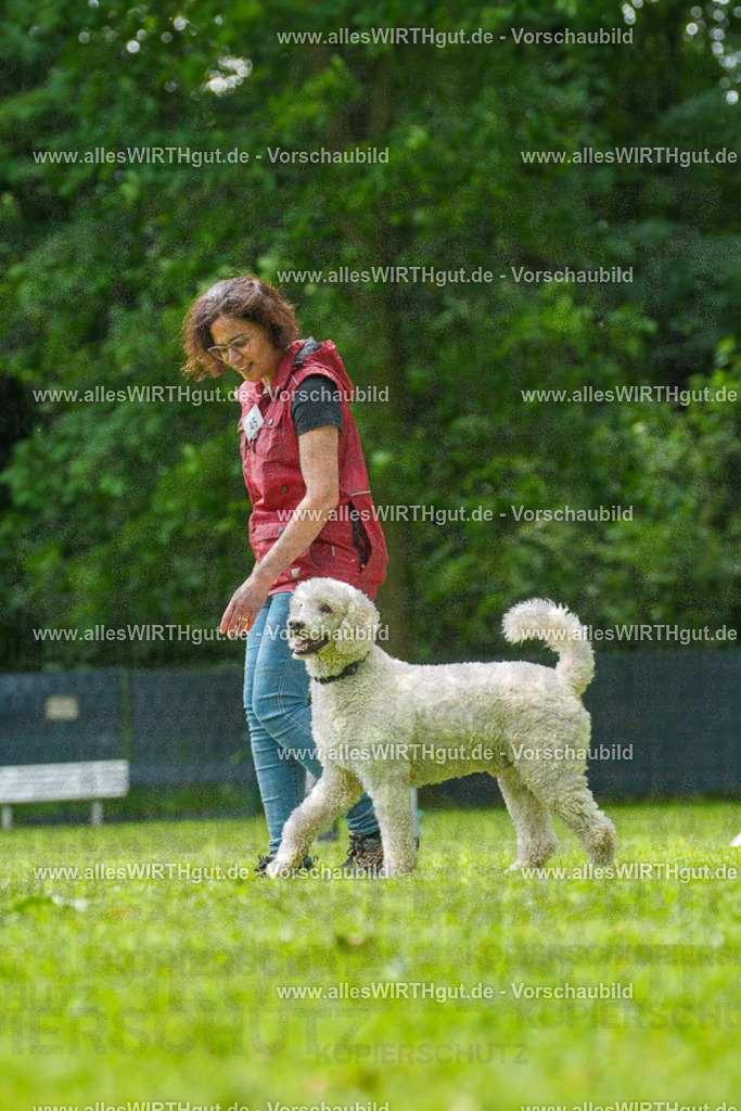 @allesWIRTHgut_Tierfotografie - www.allesWIRTHgut.de - 7R505197 | Professionelle Tierfotografie in Mönchengladbach von Daniel Wirth (allesWIRTHgut). Liebevolle & natürliche Bilder von Hunden & Katzen für unvergessliche Erinnerungen.