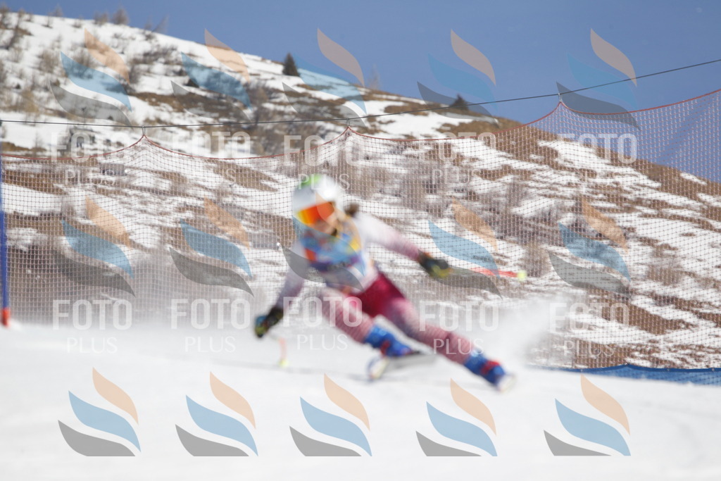 _U3G8830 | holidayphoto