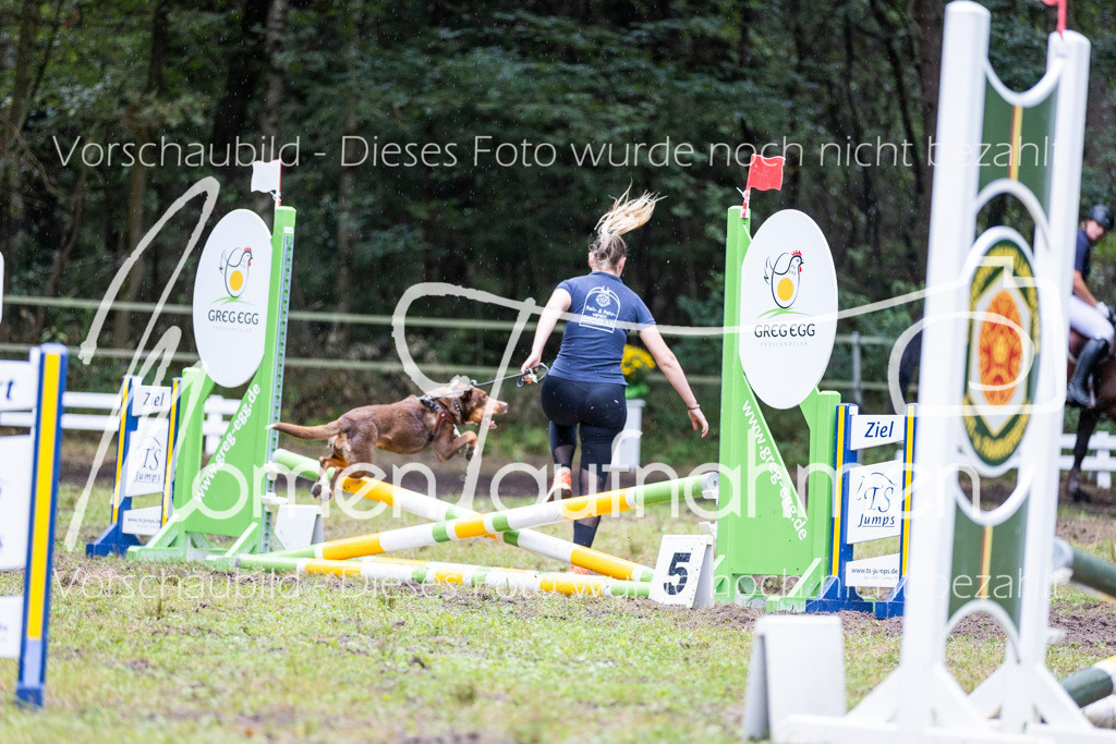 HB-JaD-036 | MomenTaufnahmen Pferdesportfotos