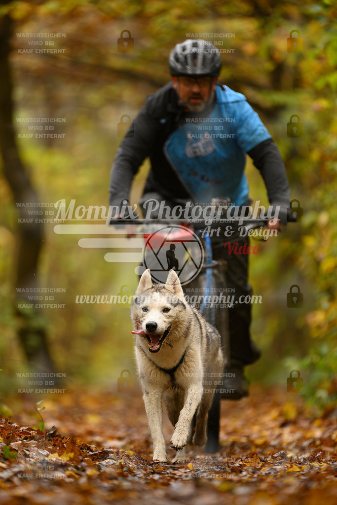 MompixPhotography_CD7S_DI_Bike-58 | mompixphotography