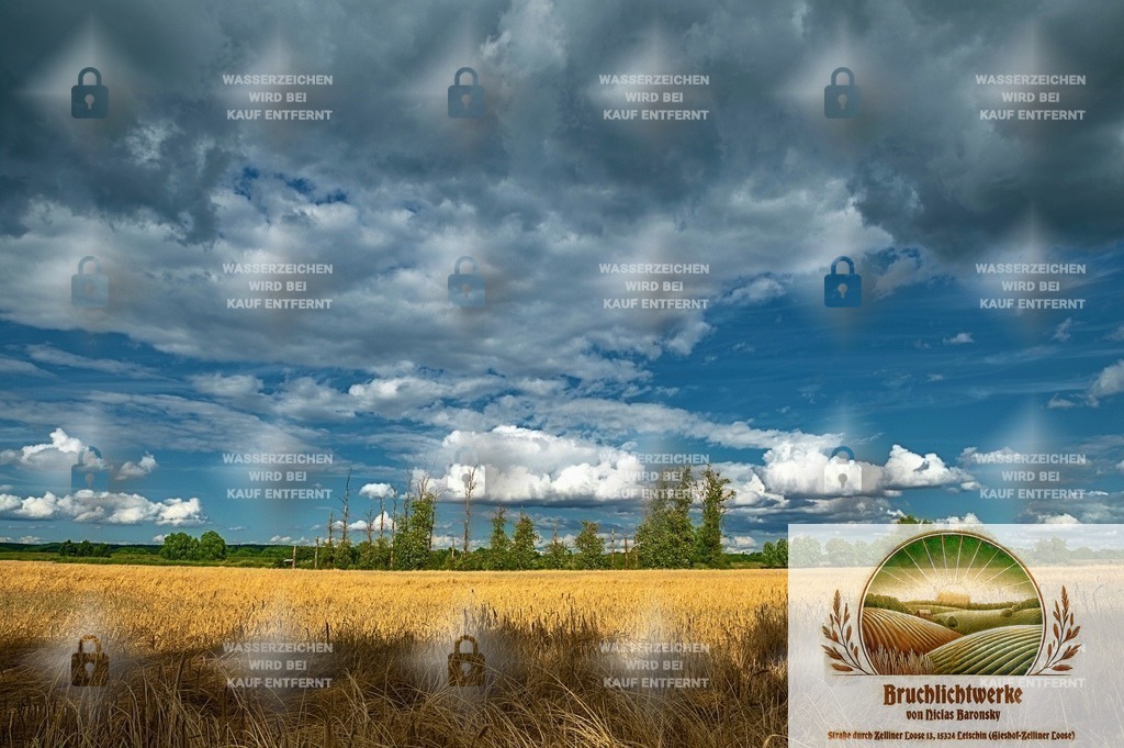 Sommerbruch | Landschaftsfotografie aus dem Oderbruch: Fine-Art-Prints im Shop, Fotoworkshops und ausgewählte Hochzeiten in Märkisch-Oderland & Oder-Spree.