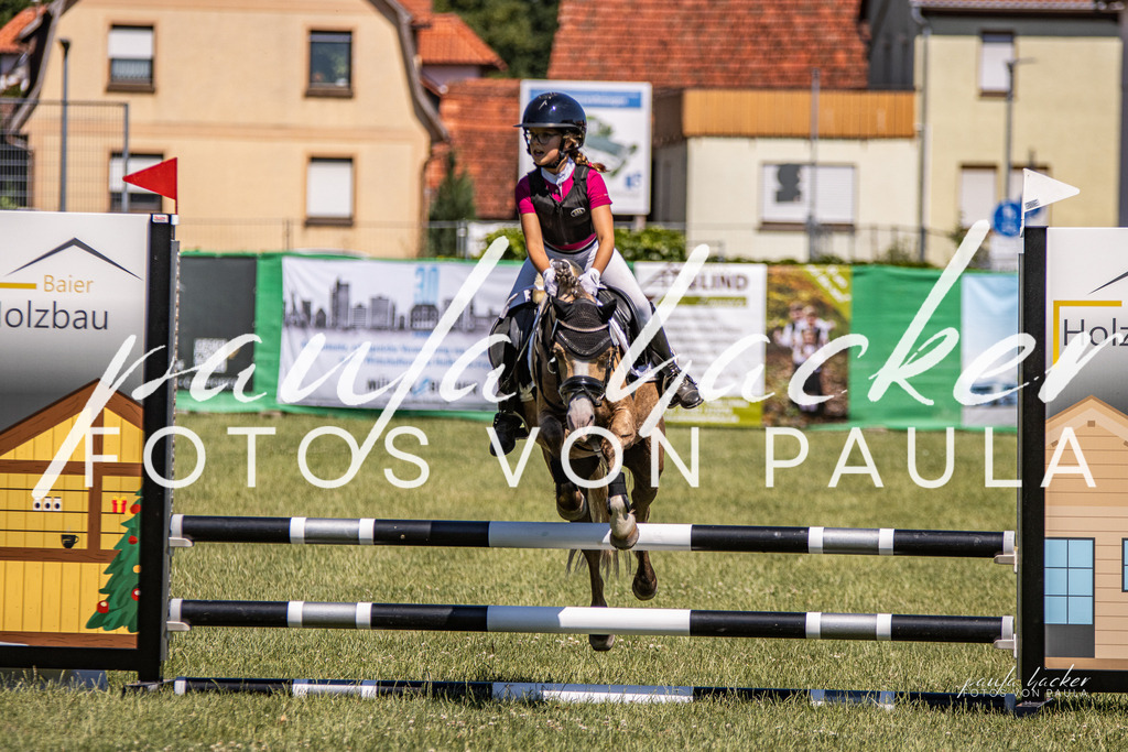 IMG_0617 | Erleben Sie dynamische Sport- und emotionale Tierfotografie in Süddeutschland mit Fotos von Paula. Spezialisiert auf Pferde- und Hundefotografie sowie Sportevents. Kontaktieren Sie mich für einzigartige und ausdrucksstarke Bilder Ihrer besonderen Momente.