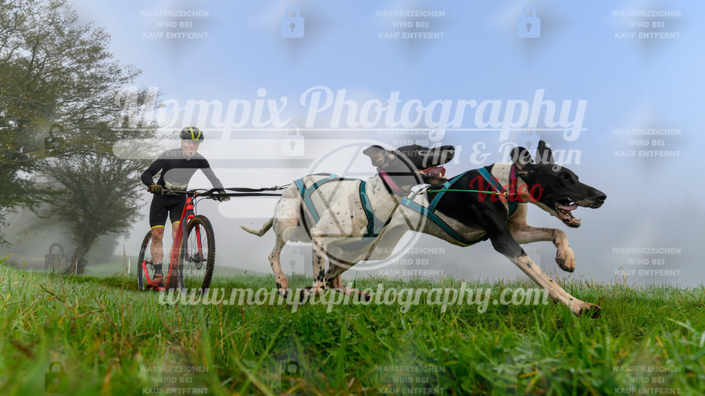 MompixPhotography_20TSB_E5_DS2-5 | PayLife
