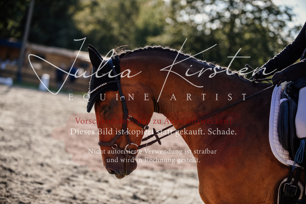 DSC_0680 | Pferde- und Turnierfotografie in Westsachsen. Pferdeportraits, Auftragszeichnungen und intuitive Kunst.