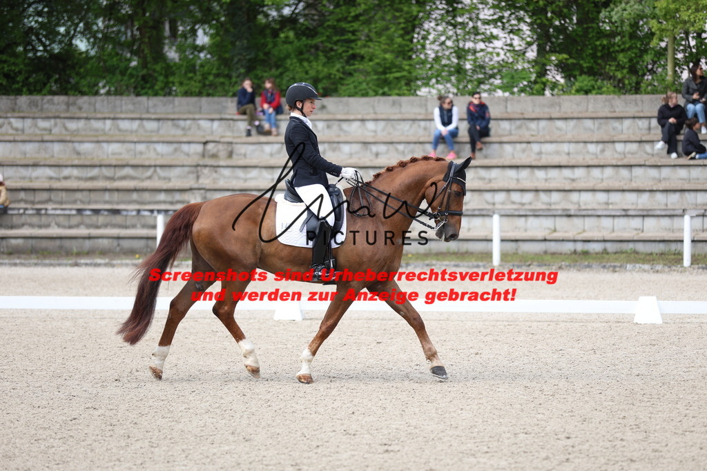 A40A4018 | lmwpictures - Realisiert mit Pictrs.com