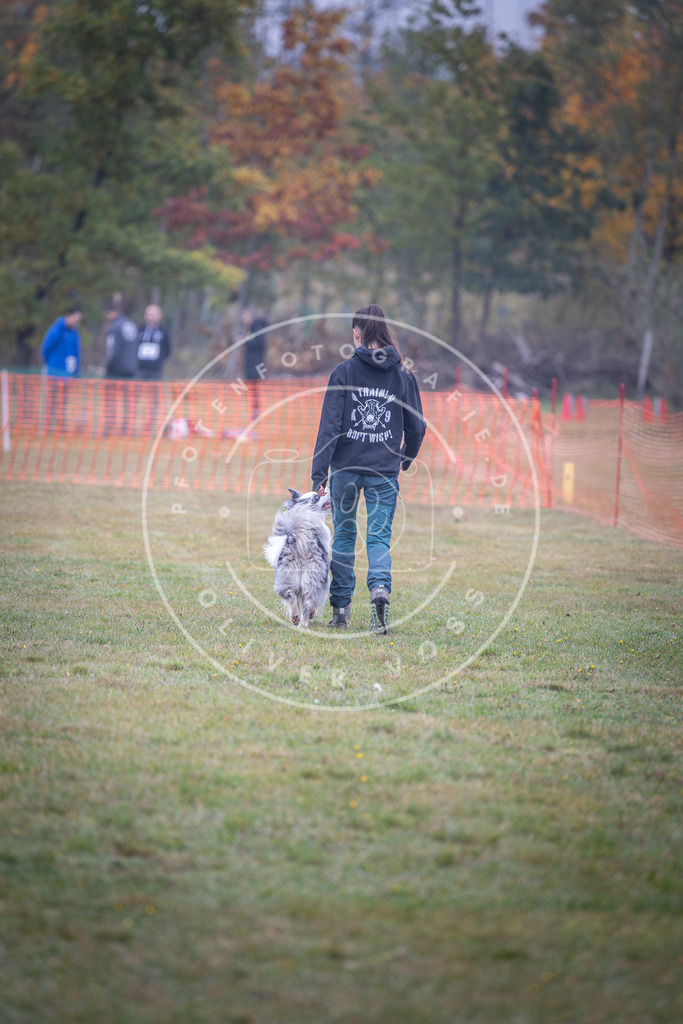 Pfotenfotografie_DV3A8814 | Hundefotografie, Tierfotograf, Pfotenfotografie, Fotoshooting Hund, Hunde Portrait, Hundesport, Hundeportraits, Heideshooting, Hunde, Sportfotograf, Hundefotograf, Turnierhundsport, THS,  - Realisiert mit Pictrs.com