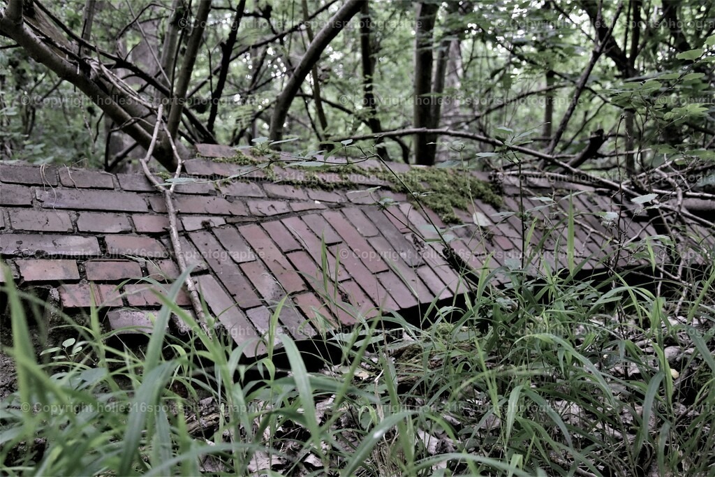 DSC_0010 (3) | Sportfotografie , Motorsport, Motoross, Reitsport, Mointainbike, Enduro,
Landschaft , Outdoor, Eventfotografie, Landschaft, Bilder online bestellen - Realisiert mit Pictrs.com