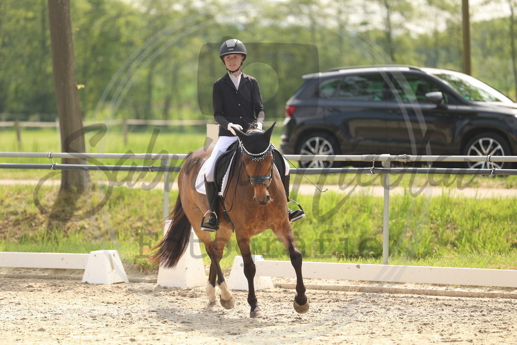 994A6849 | sabrinanicolaifotografie - Realisiert mit Pictrs.com