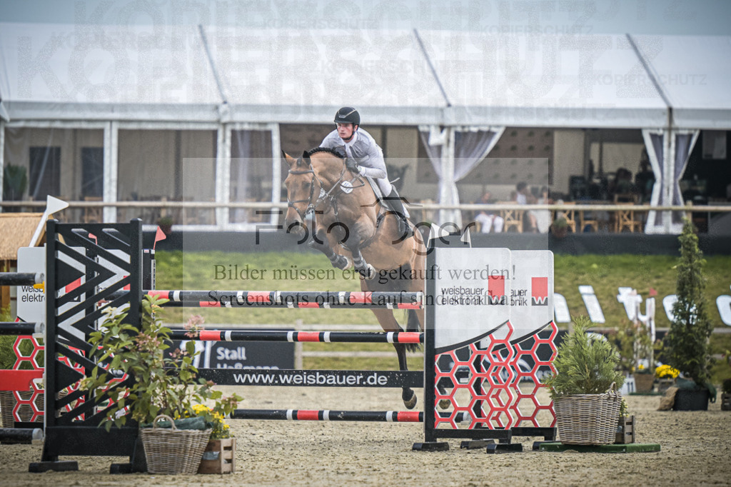 DOS_1600 | Entdecke hochwertige Reitturnierfotos von Foto Oger. Professionell, emotional und authentisch – jetzt Lieblingsmomente im Shop bestellen.Deutschlandweite Turnierfotografie. - Realisiert mit Pictrs.com