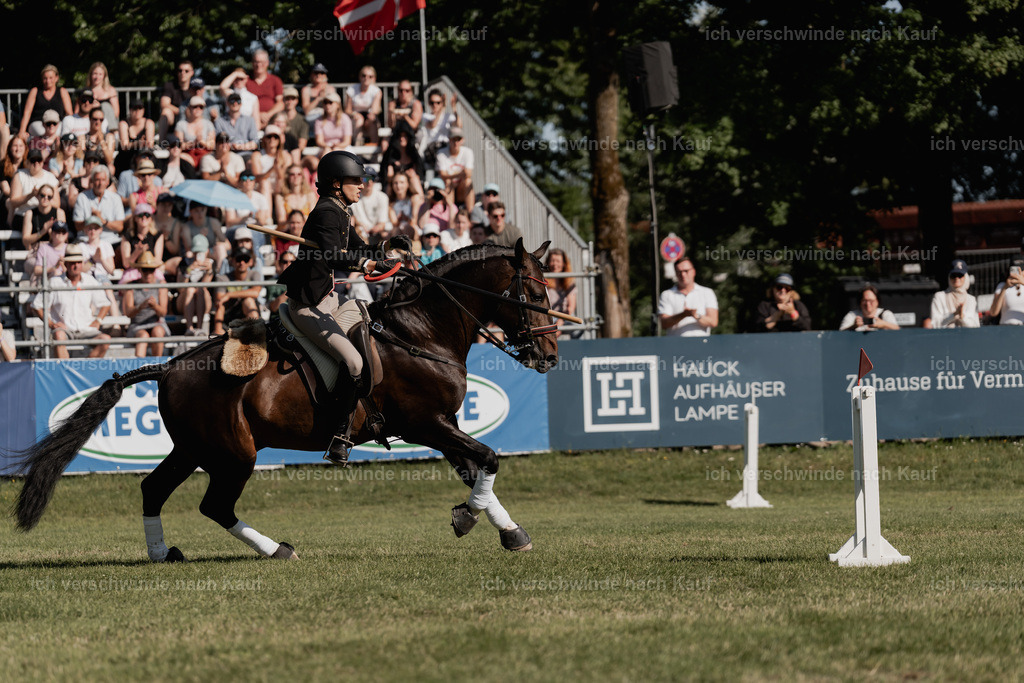 WE_MOS_Stoib_330_PI2025_2380 | Pferd International München 2025